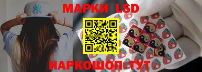 индика Пугачёв