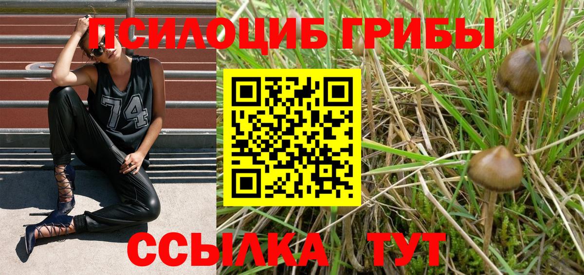 Псилоцибиновые грибы Psilocybine cubensis  Псилоцибиновые грибы мицелий  Реутов  Вход с VPN 